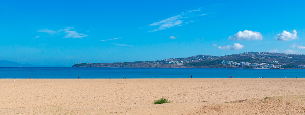 Mediterranean